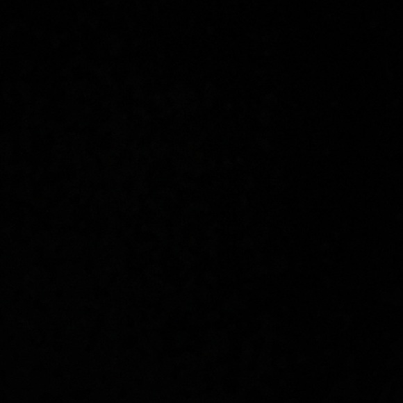 Meet your Posher, Blanca - Picture 1 of 1