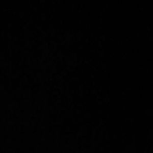 Meet your Posher, Blanca