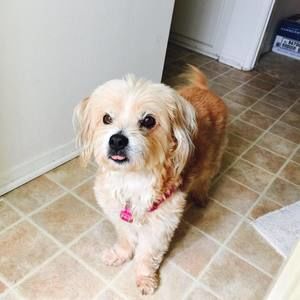 Meet your Posher, Arlene