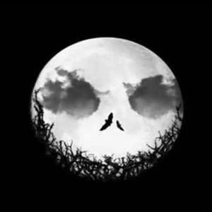 Meet your Posher, Chas