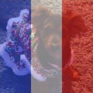 Meet your Posher, Missy