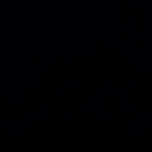 Meet your Posher, Jodi