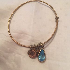 Alex and Ani adjustable bangle