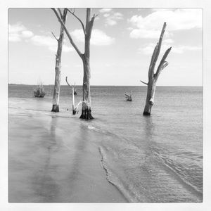 Meet your Posher, Nichole