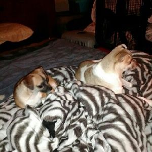 Meet your Posher, Sonya