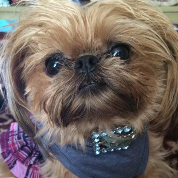 Meet your Posher, Sharon