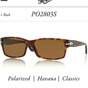 **SCARY SALE** Persol Polarized Havana Sunglasses
