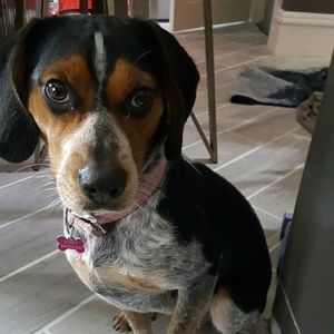 Meet your Posher, Sam