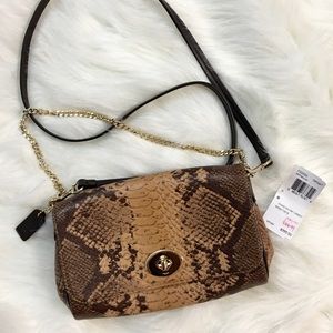 COACH SNAKE MIN RBY CRSBD