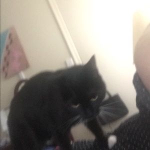 Meet your Posher, Patricia