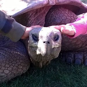 Meet your Posher, Amy ralph