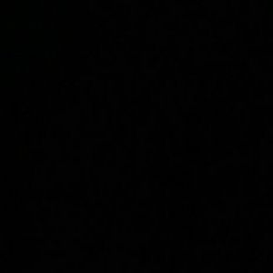 Meet your Posher, Tamika