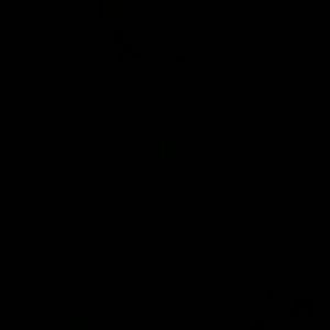 Meet your Posher, Daisy