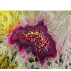 Meet your Posher, Paige