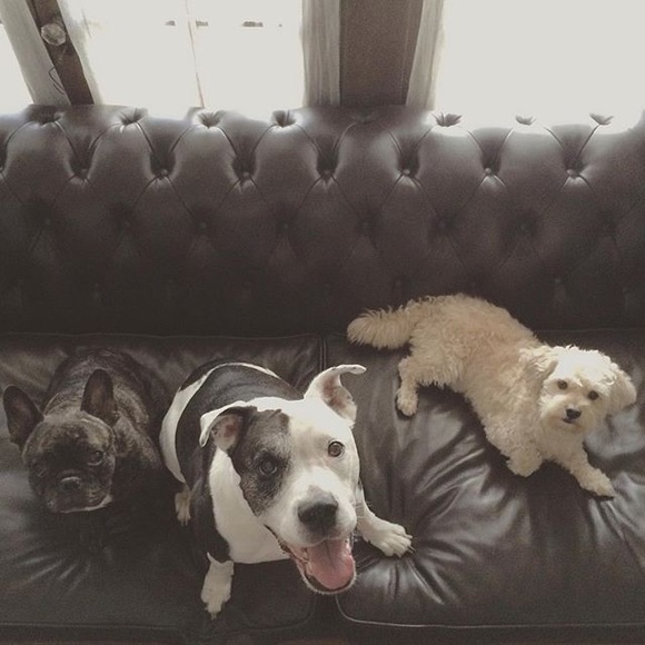 Meet The Seller - Picture 2 of 4