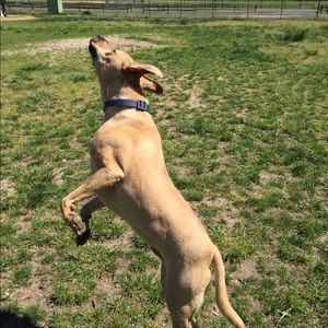 Meet your Posher, Erin