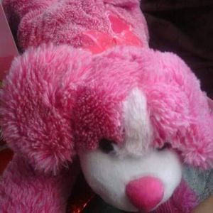 Meet your Posher, Sweets