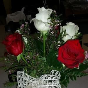 Meet your Posher, Pauline