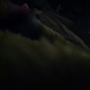 Meet your Posher, Kassandra