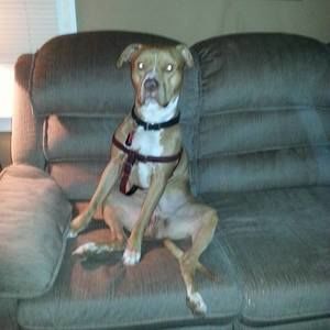 Meet your Posher, Kim anne