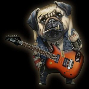 Meet your Posher, Pam