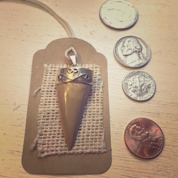 Sharks tooth Pendant on silver. Handmade.