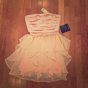 NWT Arden B pale blush mini dress
