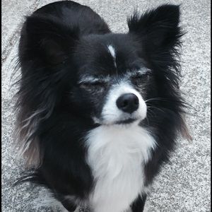 Meet your Posher, Johnny