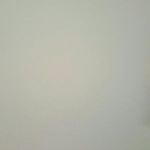 Meet your Posher, Lorraine