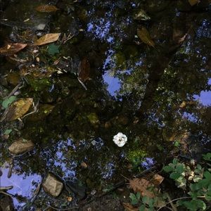 Bundle for @ainat220