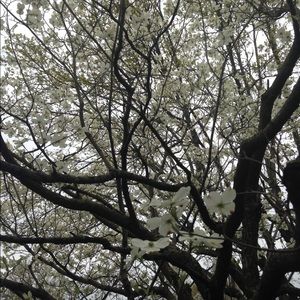 Meet your Posher, Alissa