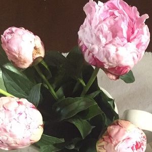 Meet your Posher, Brittney