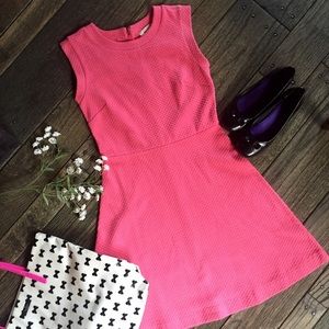 NWT Ann Taylor LOFT Sleeveless Dress