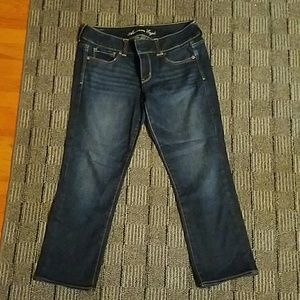 AE Artist crop size 10R