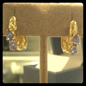 14kt gold hoop Tazanite Earrings
