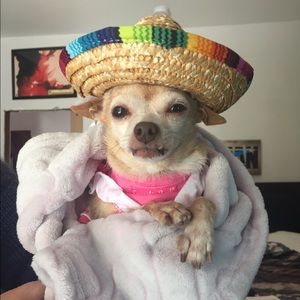 Meet your Posher, Marcellina