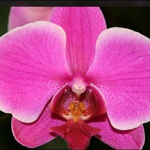 Meet your Posher, Kerry