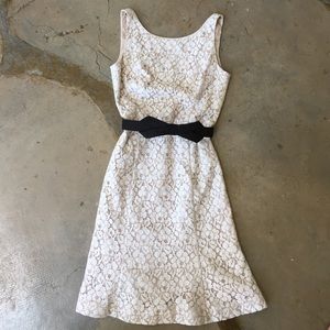 Gorgeous White House Black Market lace dress