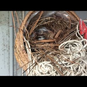 Meet your Posher, Sally