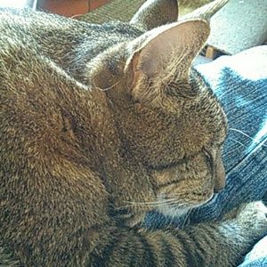 Meet your Posher, Karla