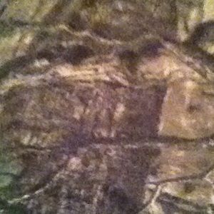 Meet your Posher, Wesley