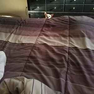 Meet your Posher, Lupe