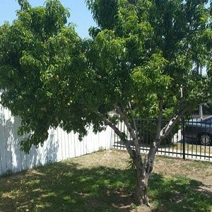 Meet your Posher, Tomasa