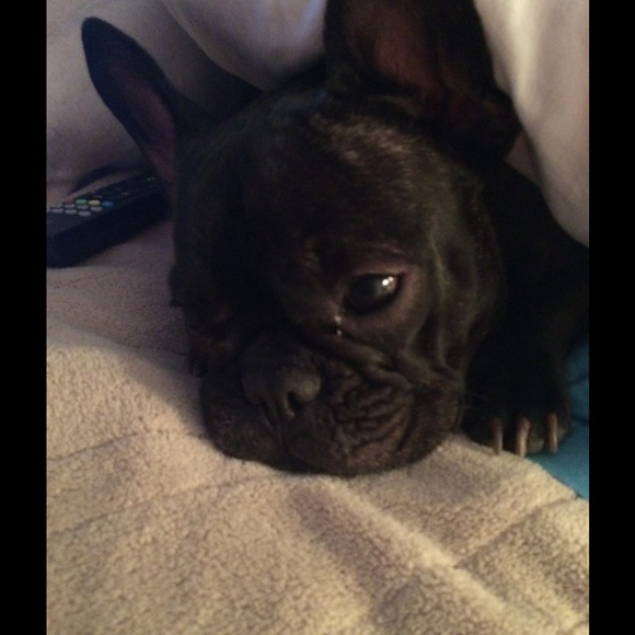 Meet your Posher, Cynthia - Picture 2 of 2