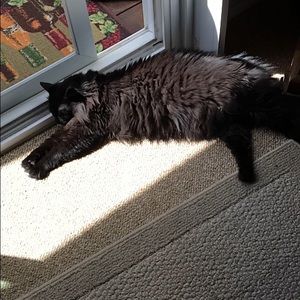 Meet your Posher, Patti