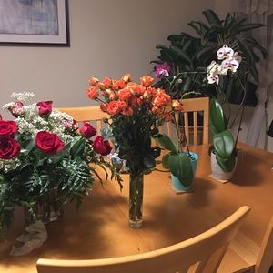 Meet your Posher, Sandy