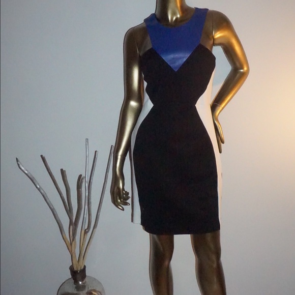 NWT Mason dress w/ real" leather around the never