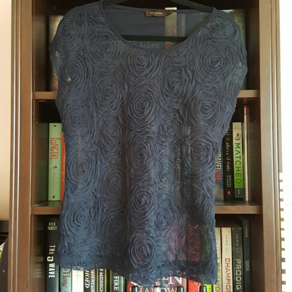 The Limited  sheer navy shirt