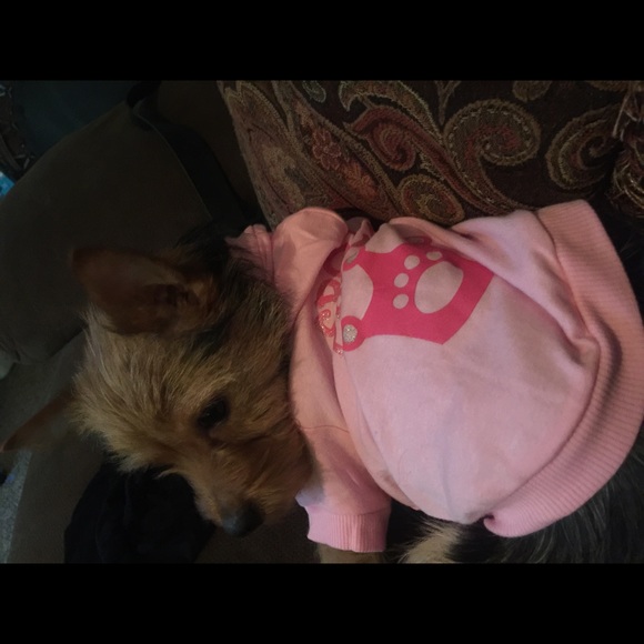 Meet your Posher, Priscilla - Picture 1 of 1