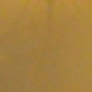 Meet your Posher, Phoebe